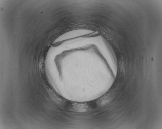 X0000083660185200703121821