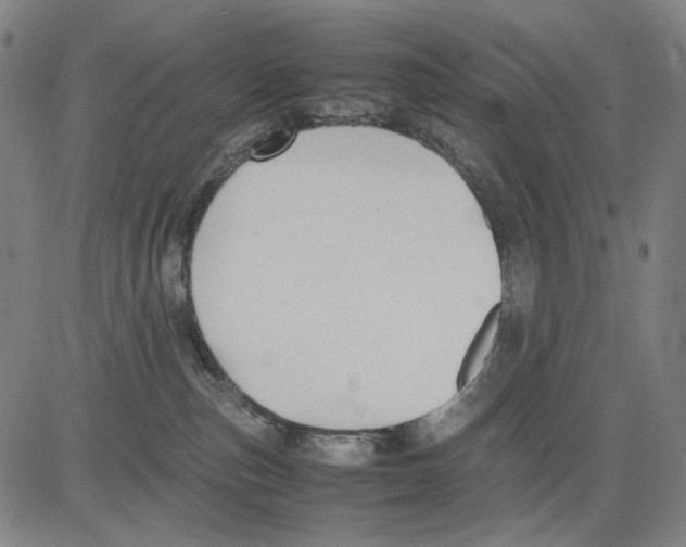 X0000083660187200703121821