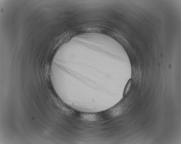 X0000083660189200703121821