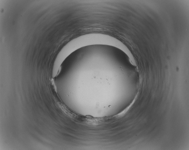 X0000083660190200703121821