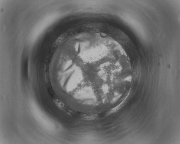 X0000083660191200703121821