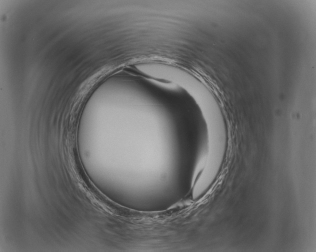 X0000083660193200703121820