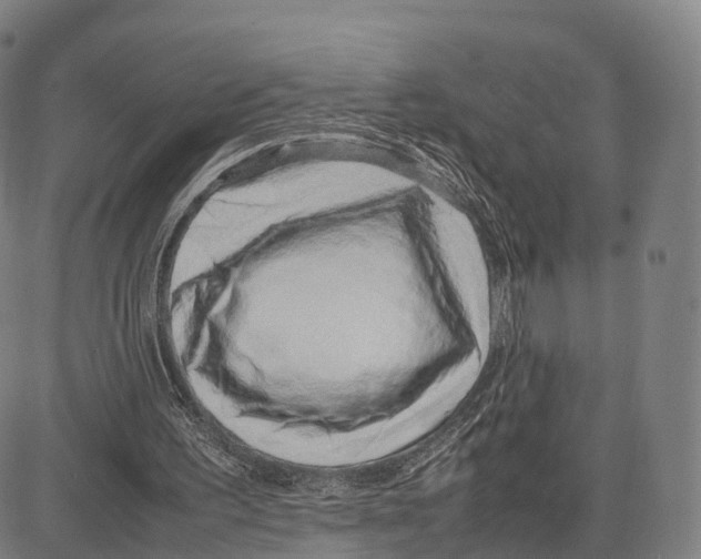 X0000083660195200703121820