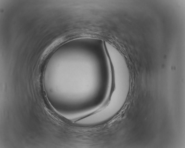 X0000083660197200703121820