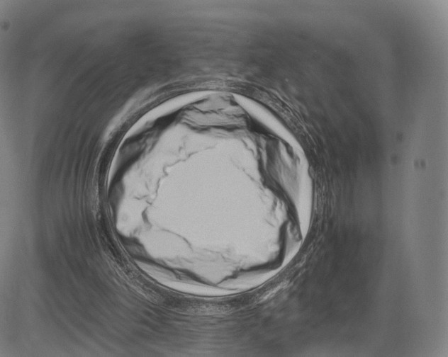 X0000083660198200703121820