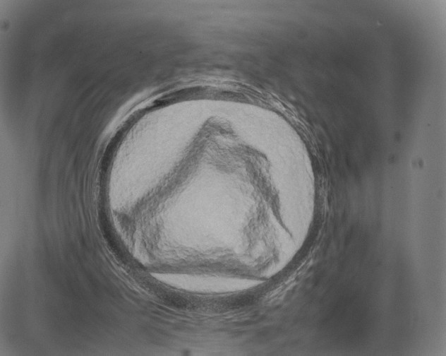 X0000083660199200703121820