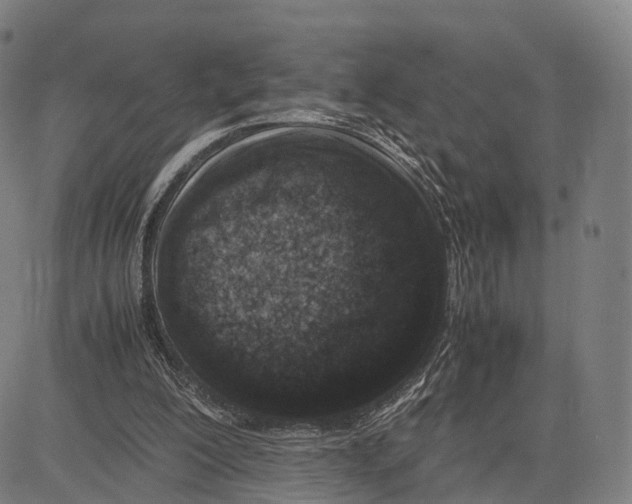 X0000083660200200703121820