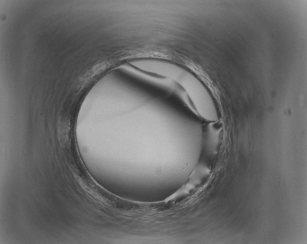 X0000083660201200703121820