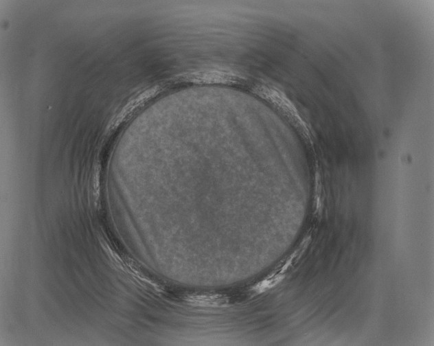 X0000083660202200703121820