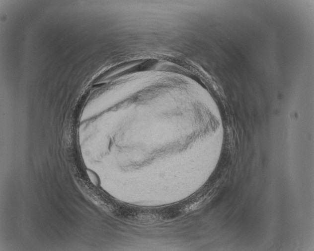 X0000083660203200703121820