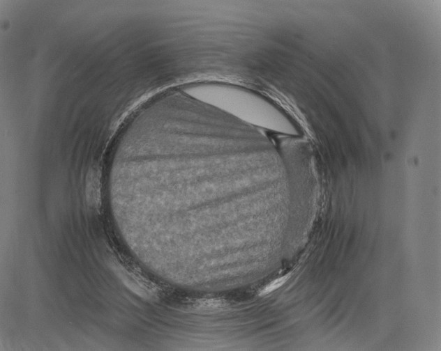 X0000083660204200703121820