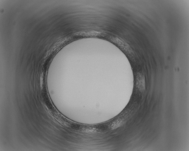 X0000083660206200703121820