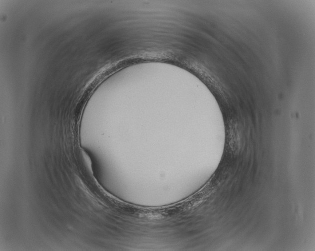 X0000083660208200703121820