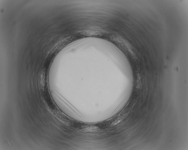 X0000083660210200703121820