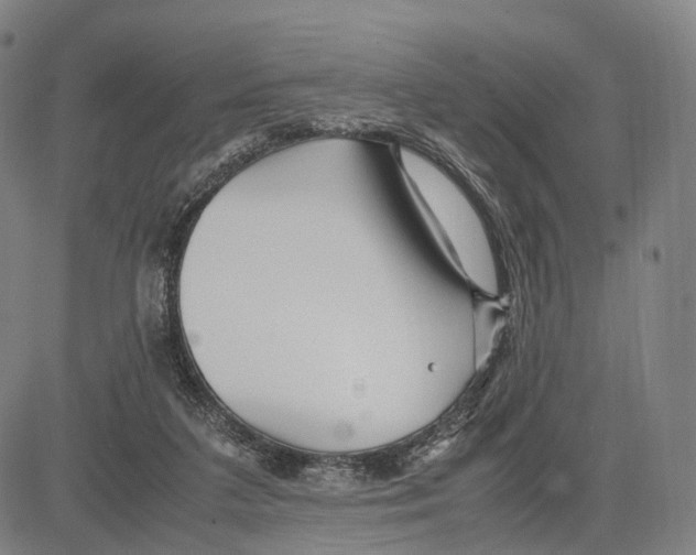 X0000083660211200703121820