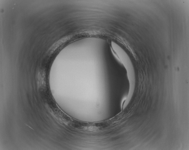 X0000083660212200703121820