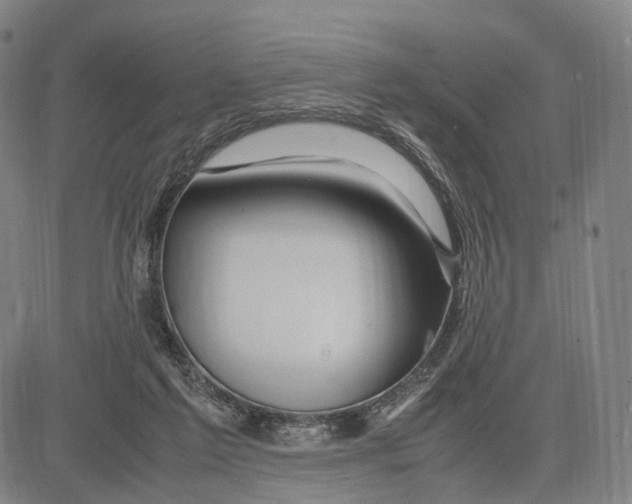 X0000083660213200703121820