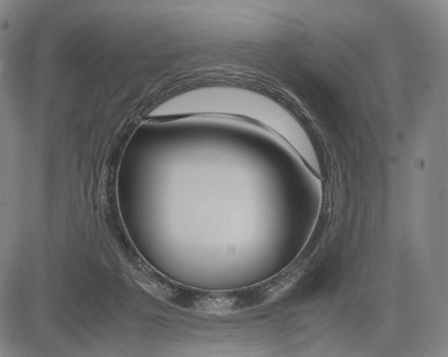 X0000083660217200703121820