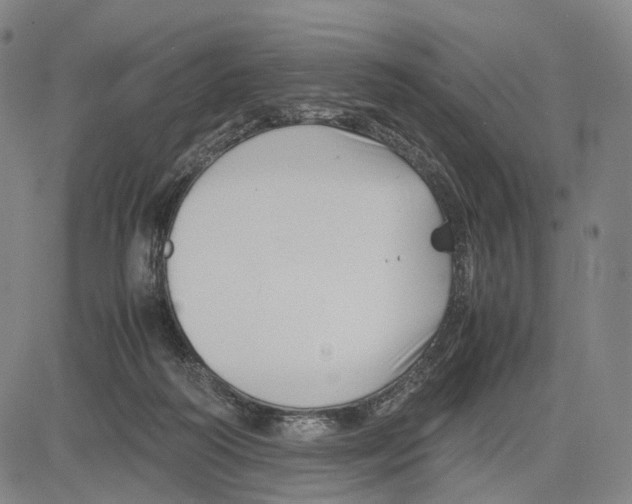 X0000083660218200703121820