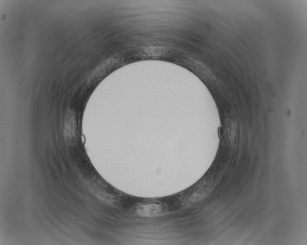 X0000083660220200703121820