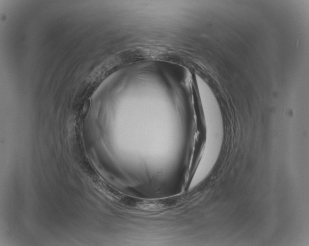 X0000083660221200703121820