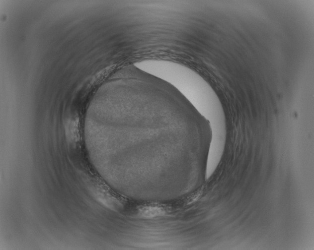 X0000083660224200703121820