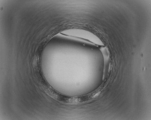 X0000083660225200703121820