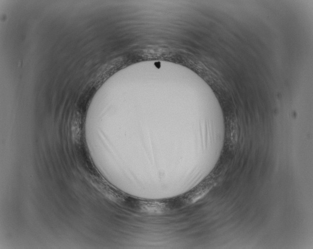 X0000083660226200703121820