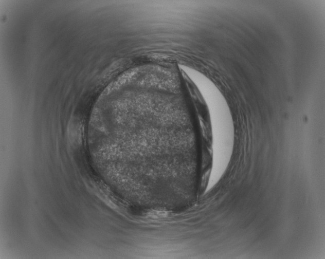 X0000083660227200703121820