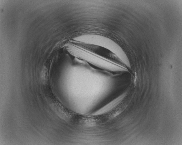 X0000083660228200703121820