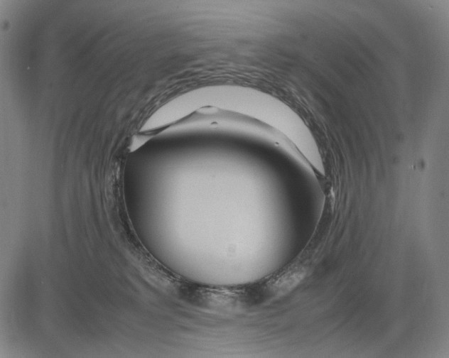 X0000083660229200703121820