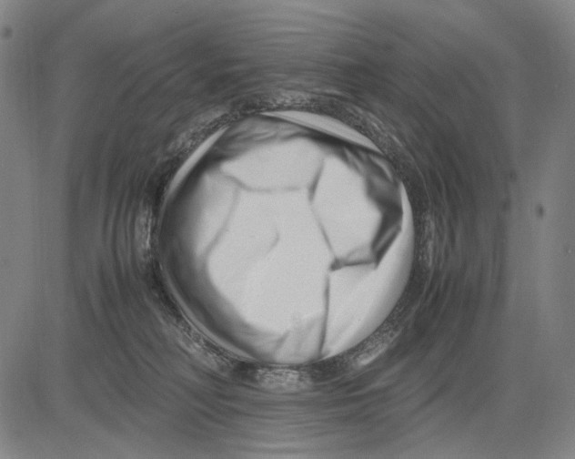 X0000083660230200703121819