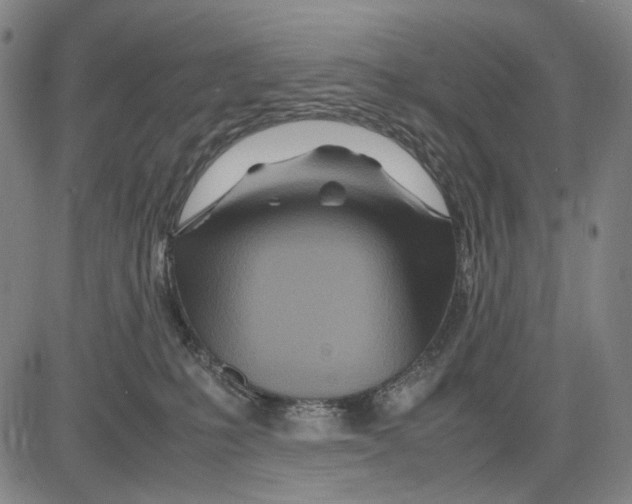 X0000083660231200703121819