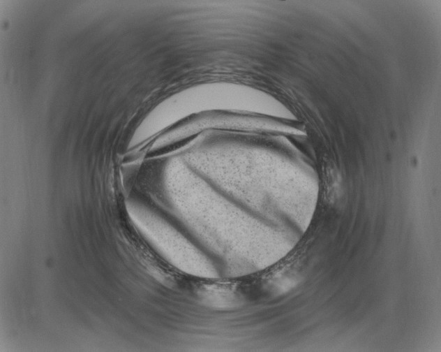 X0000083660232200703121819