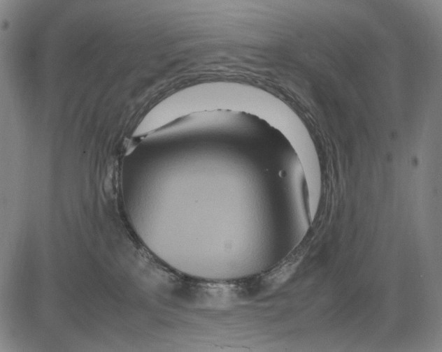 X0000083660233200703121819