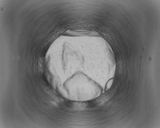 X0000083660234200703121819