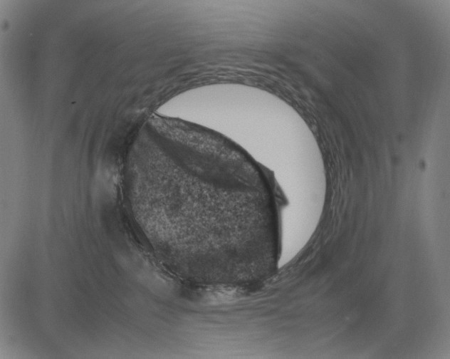 X0000083660235200703121819