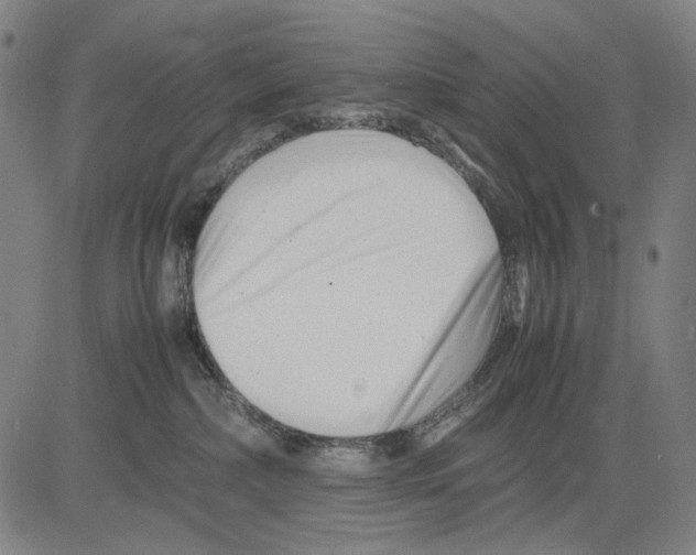 X0000083660236200703121819