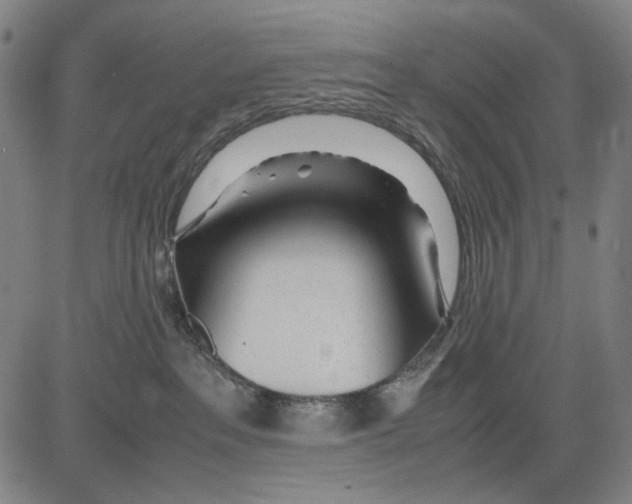 X0000083660237200703121819