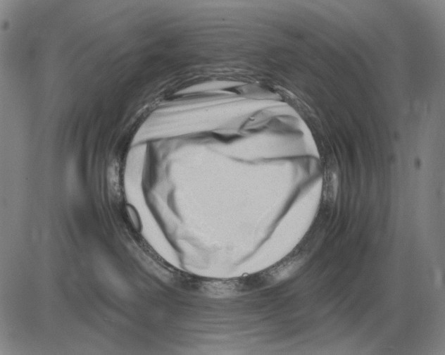 X0000083660238200703121819