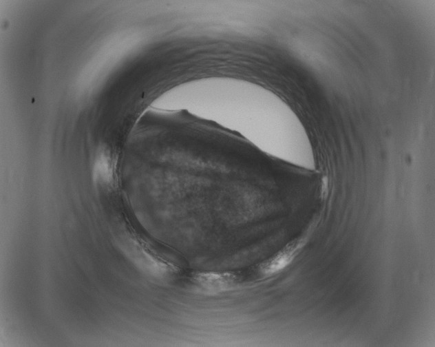 X0000083660239200703121819