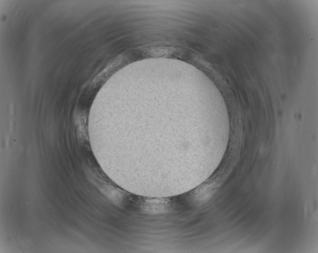 X0000083660240200703121819