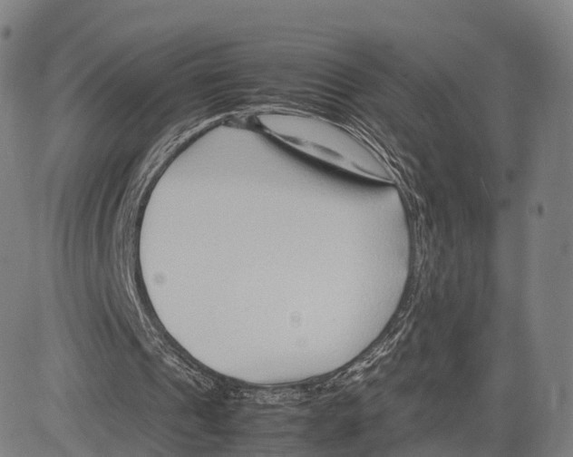 X0000083660241200703121819