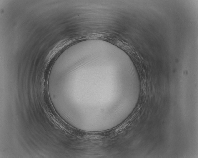 X0000083660242200703121819