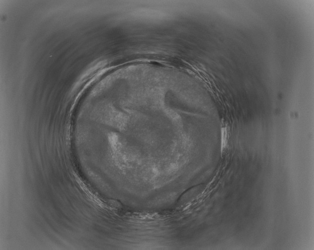 X0000083660243200703121819