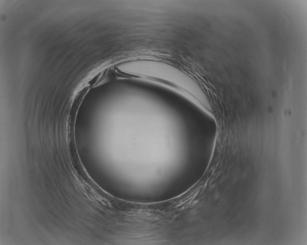 X0000083660244200703121819