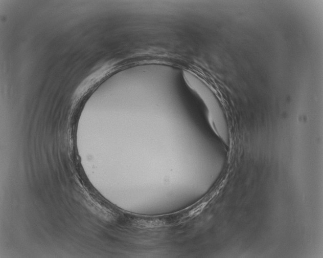 X0000083660245200703121819