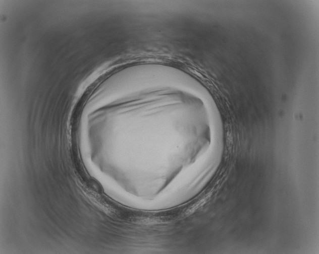 X0000083660246200703121819