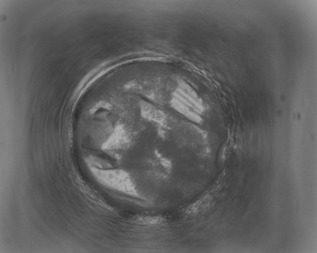 X0000083660247200703121819