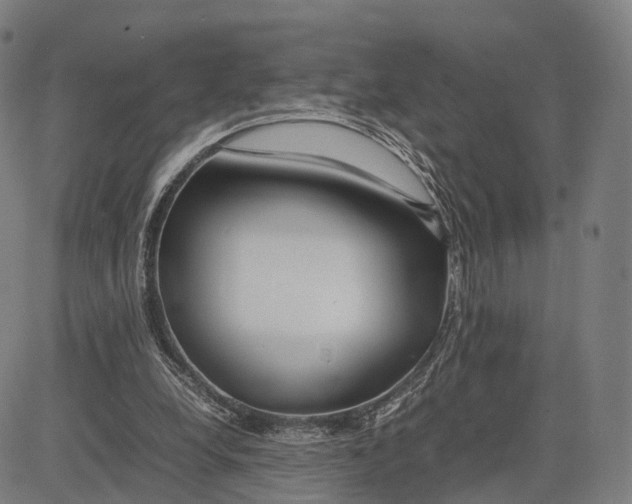 X0000083660248200703121819